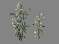 Journey to the West – Putuoshan – Bamboo 010 3D Model