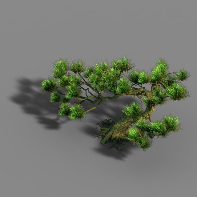 Qingyun Mountain – Pine 603 3D Model