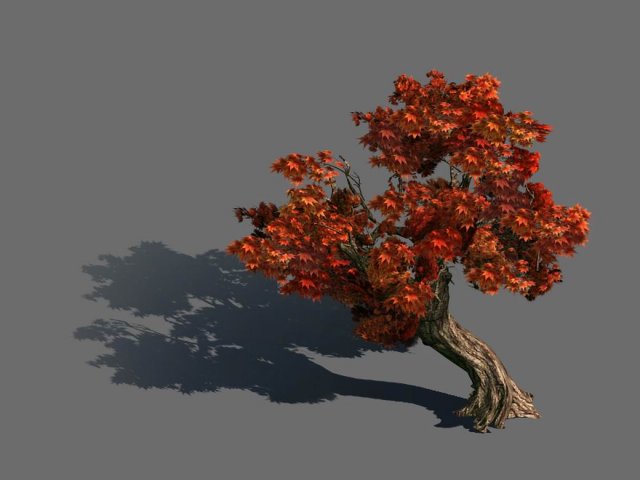 Mountain plants – shrubs 04 3D Model