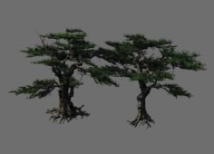 Journey to the West – Putuo Mountain – Pine 04 3D Model