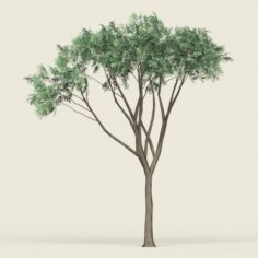 Game Ready Forest Tree 10 3D Model