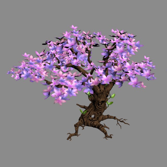 Acacia – tree 01 3D Model