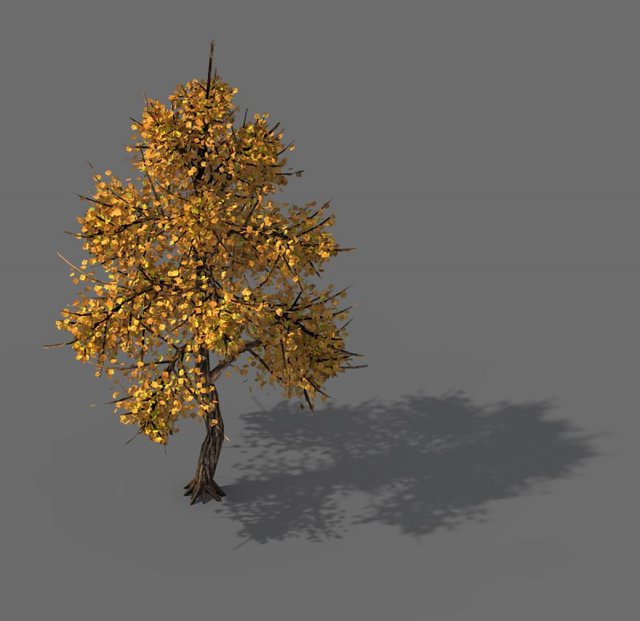 Explore the mountains – Hongye Tree 09 3D Model