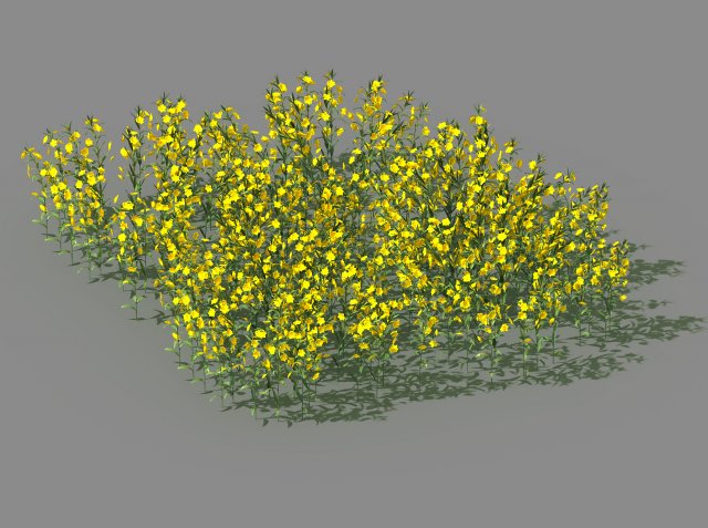 New Village – rape field 3D Model