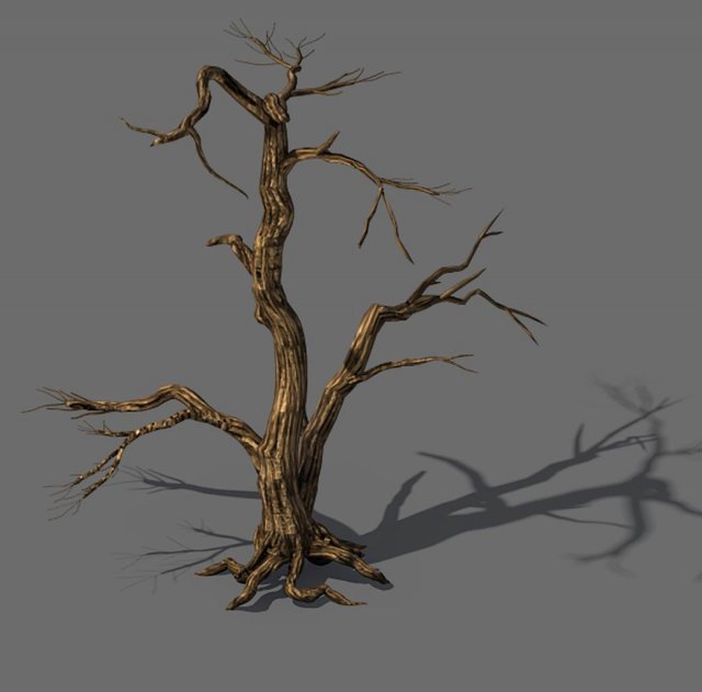 Explore the mountains – dead wood 04 3D Model