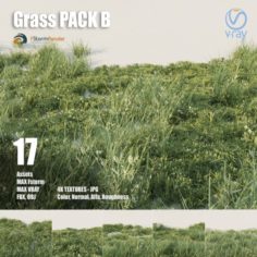 Grass pack B 3D Model