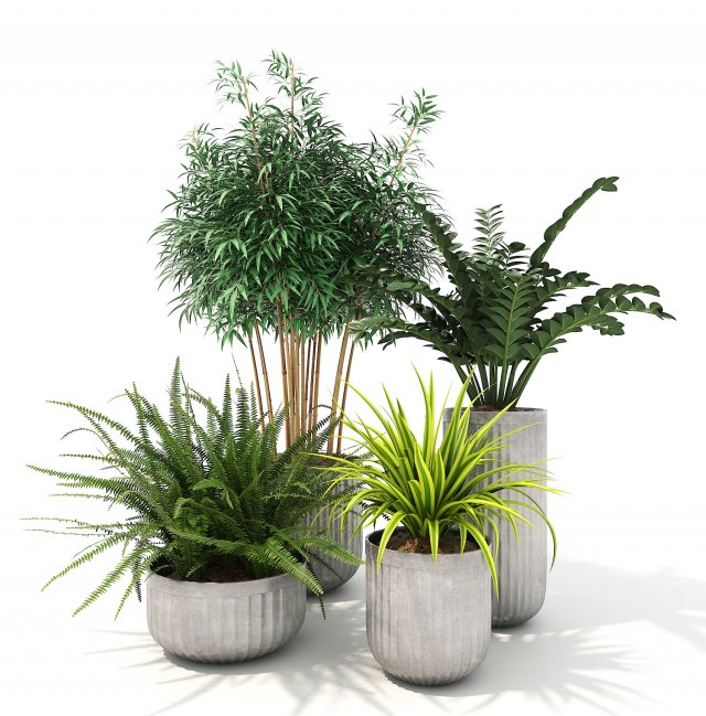 Plants Decor 4 3D Model