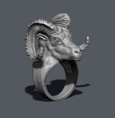 Aries ring 3D Model