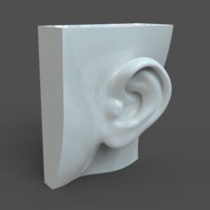 CAD-friendly Casual Woman Ear Model F1P1D0V1ear Free 3D Model