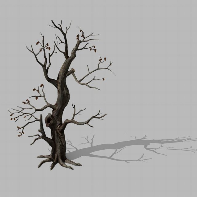 Brutal tribe – withered tree 01 3D Model