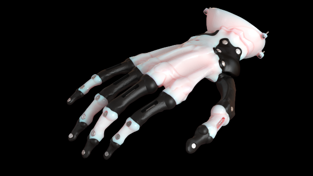 Hand prosthesis the current anatomical model 3D Model