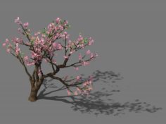 New Village – Peach 02 3D Model