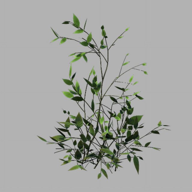 Huashan – small plant 02 3D Model