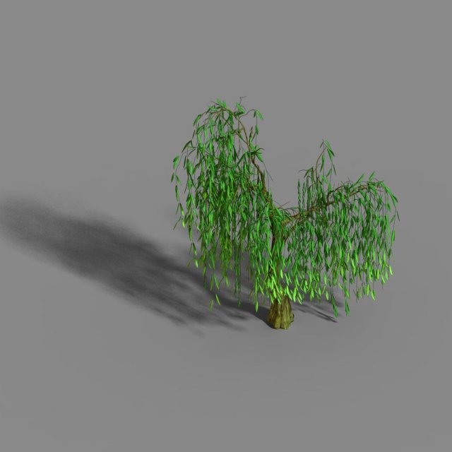 Liuli Island – willow 01 3D Model