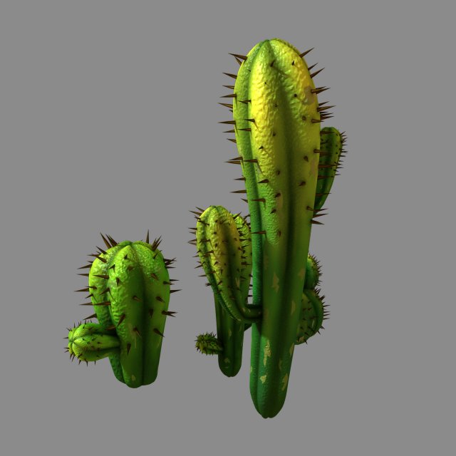 Fox Qishan – Crescent Spring – cactus 3D Model