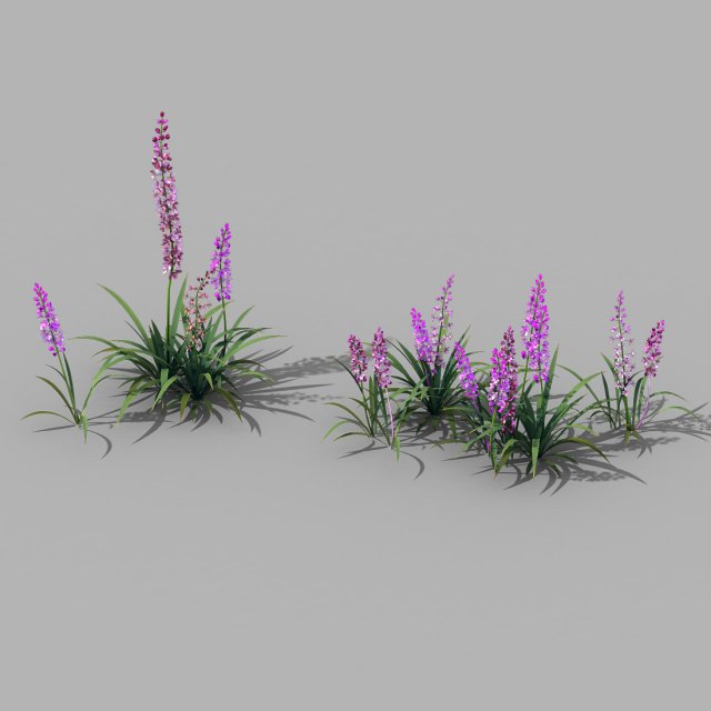 Shanglin Yuan – Plant – Flower 02 3D Model