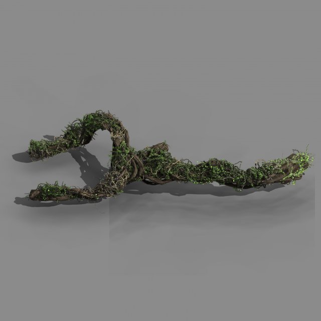 Qingyun Mountain – the trunk vine 01 3D Model