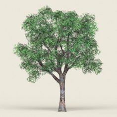 Game Ready Forest Tree 04 3D Model