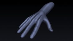 Realistic Hand Rigged 3D Model