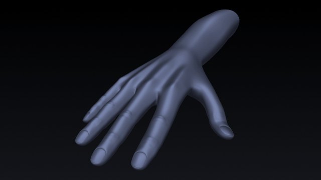 Realistic Hand Rigged 3D Model