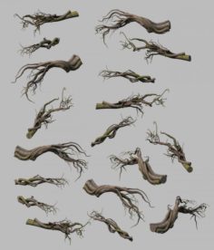 Tongtianhe – plants – climbing vine 3D Model