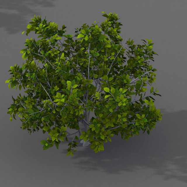 Journey to the West – shrub 03 3D Model