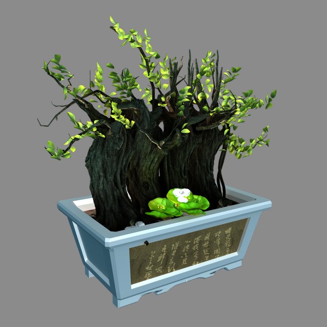 Indoor – potted plants – plants 07 3D Model