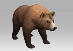 Brown Bear 3D Model
