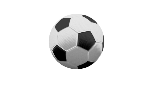 Soccer Ball 3D Model