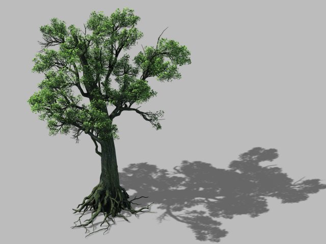 Big tree 1101 3D Model