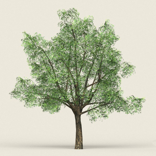 Game Ready Forest Tree 06 3D Model