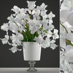 Flower bouquet of iris 3D Model