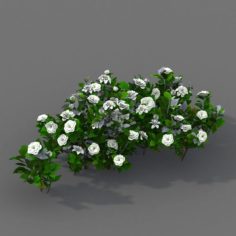 Journey to the West – Gardenia 01 3D Model
