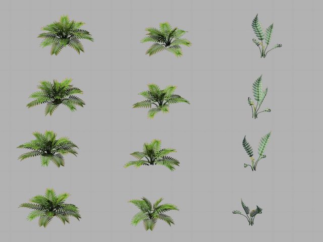 Huashan – plants – weeds 3D Model