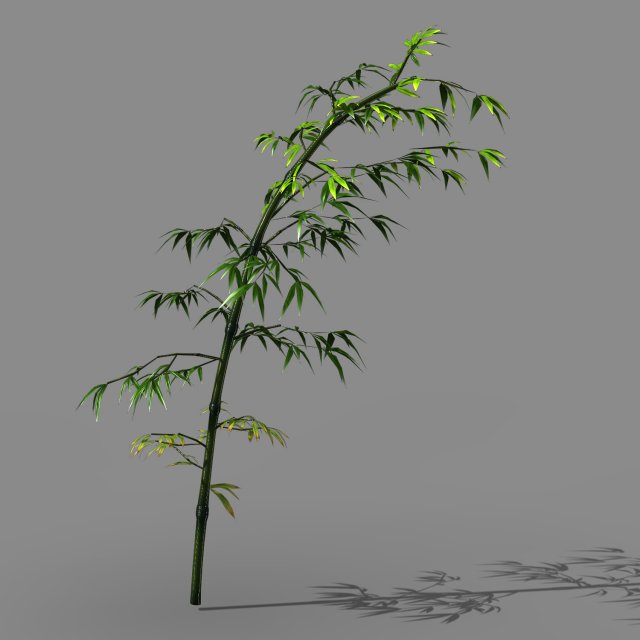 Dazhu Feng – black knot bamboo 05 3D Model