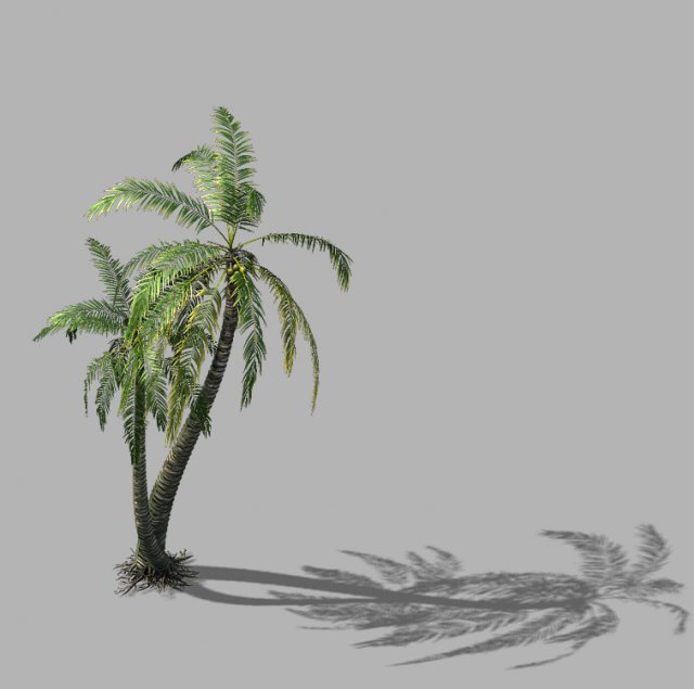 Huangguoshu Waterfall – Coconut Tree 02 3D Model