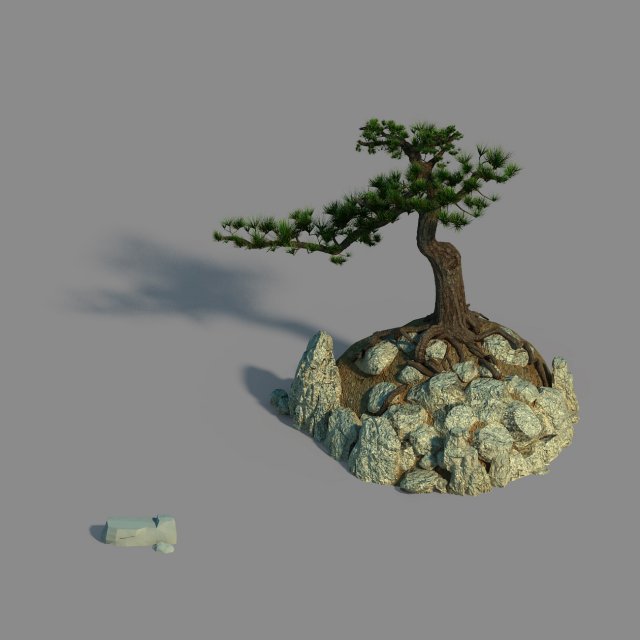 Acacia – Pine 02 3D Model