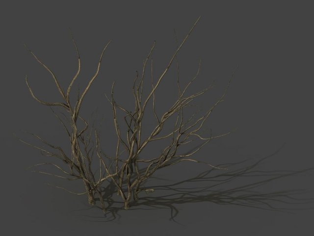 Mountain plants – dry shrubs 03 3D Model