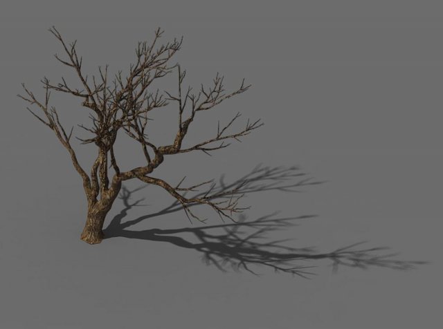 Explore the mountains – dead wood 08 3D Model