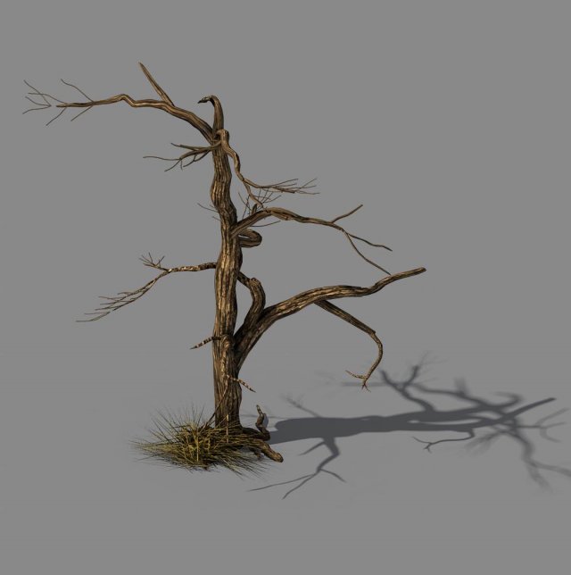 Explore the mountains – dead wood 02 3D Model