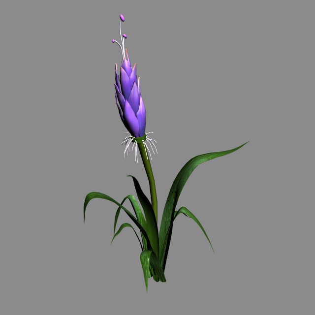 Elven Villa – flowers 03 3D Model