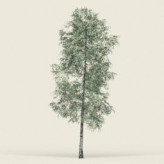 Game Ready Forest Tree 09 3D Model