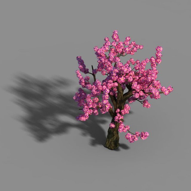 Material – Tree 04 3D Model