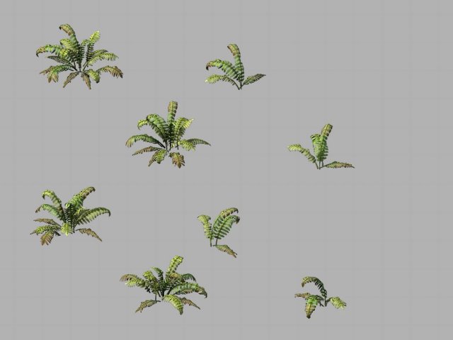 Huashan – plants – weeds 02 3D Model