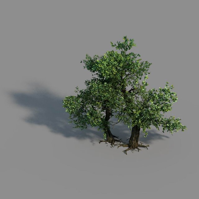 Material – tree 02 3D Model