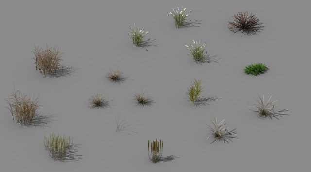 Explore the mountains – plants – weeds 3D Model