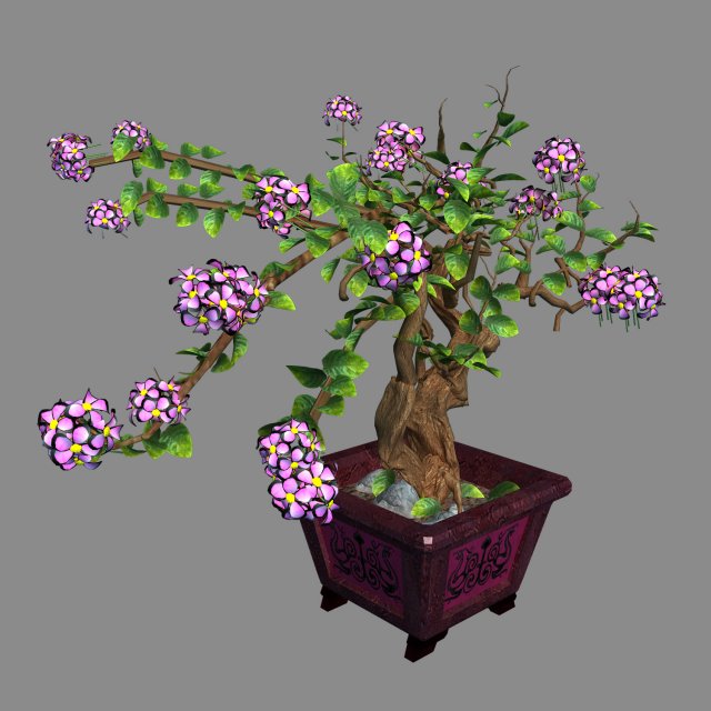 Indoor – Potted – Plants 06 3D Model