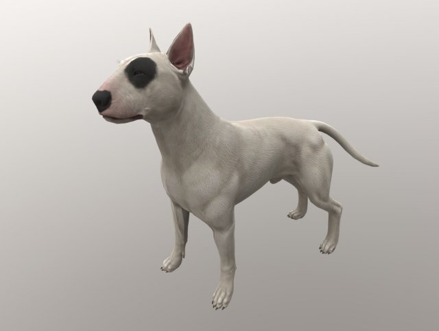 Collection of dogs 3D Model