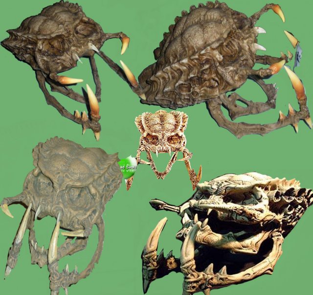 Monster skull – hole 3D Model