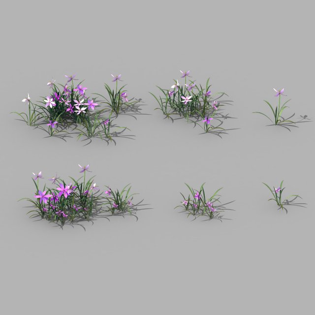 Shanglin Yuan – plants – flowers 04 3D Model